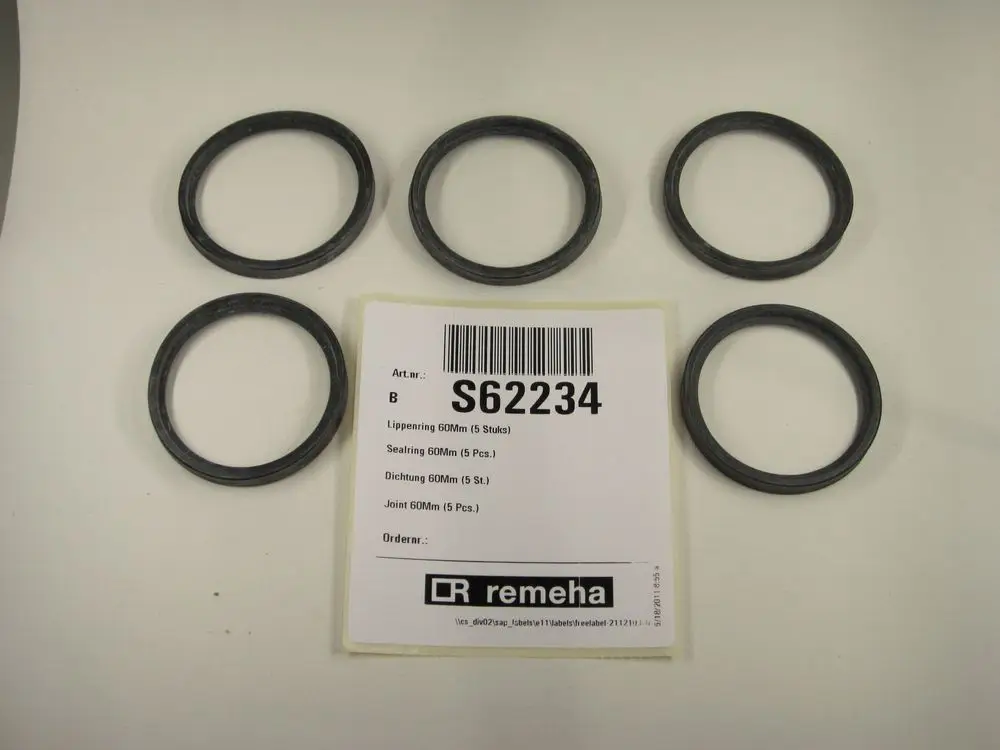 Sechs schwarze Dichtungsringe liegen auf einem hellen Untergrund, daneben ein Etikett mit der Marke Remeha und Artikelnummer S62234.